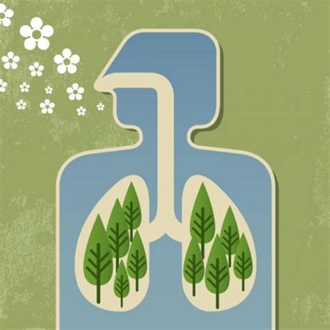 trees are important in maintaining air quality